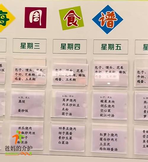 乐山市市中区孝老苑养老院