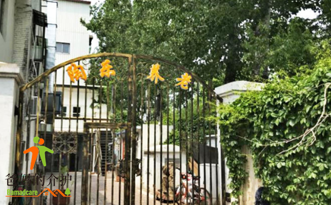陶乐家河东区分院