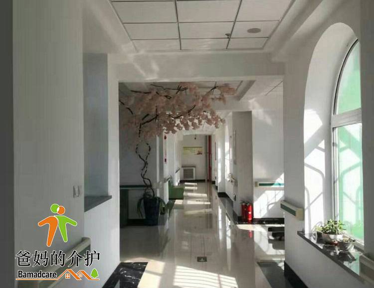 齐齐哈尔市龙沙区百鹤养老院