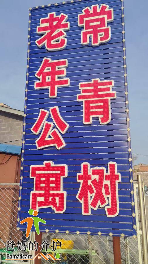 宾县常青树老年公寓