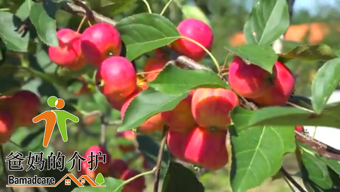 海林市聚缘山庄安养院
