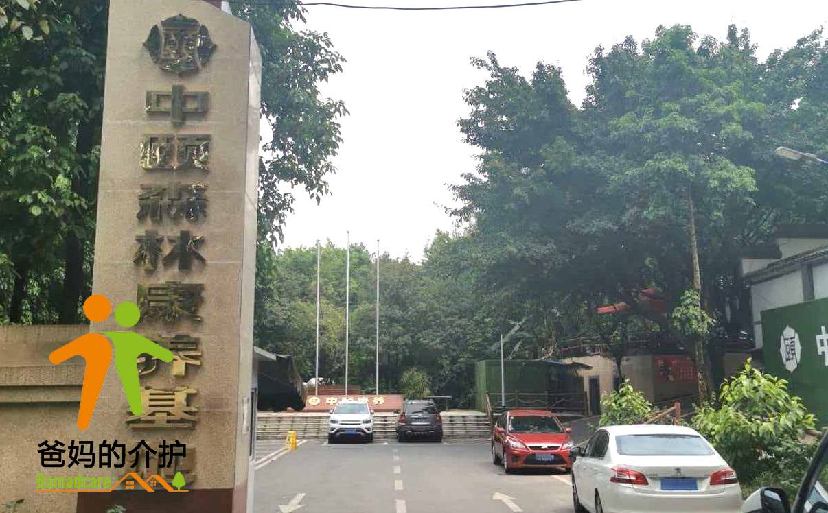 重庆市大渡口区中颐双山森林康养基地
