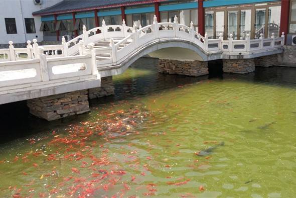 北京市千禾连锁养老韩村河院