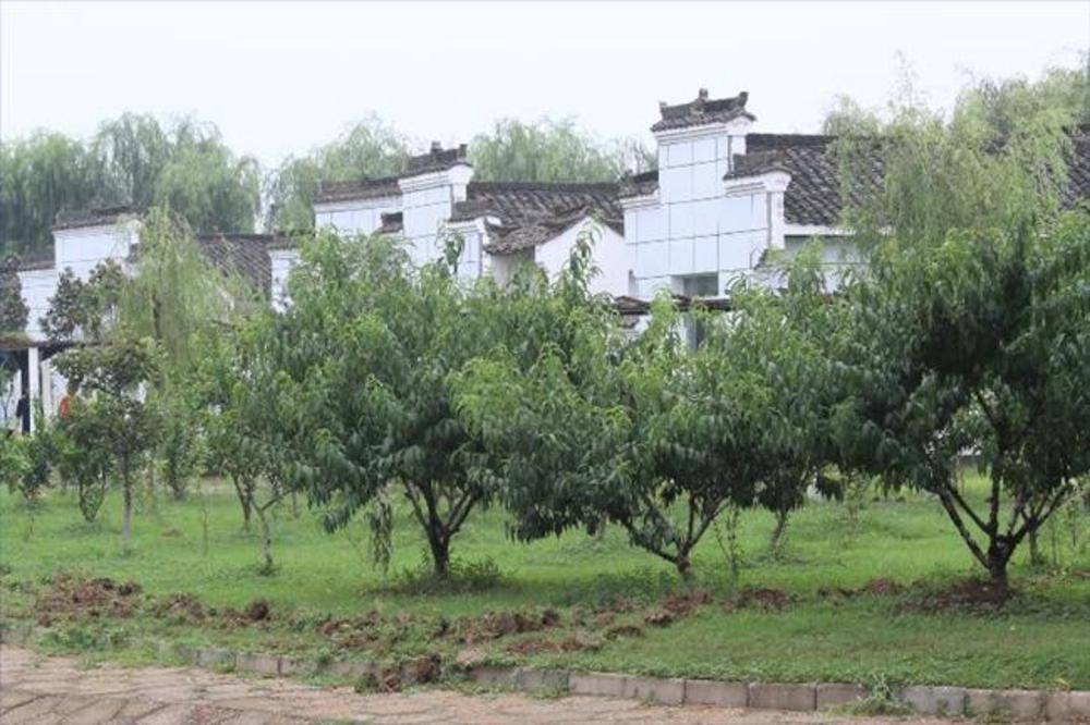 武汉市东西湖区荷包湖老年公寓