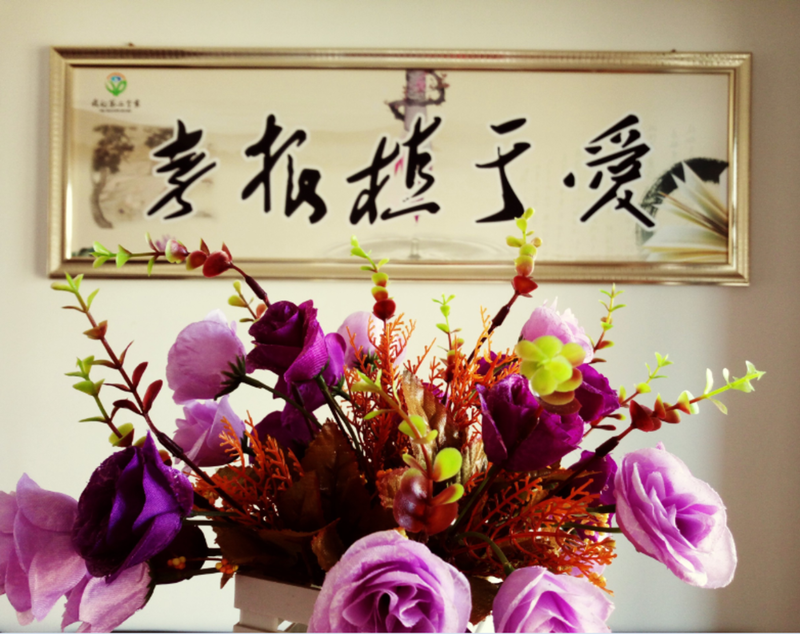武汉市我的第二个家养老