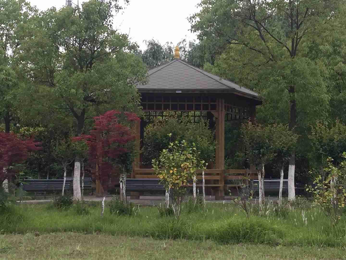 上海宝山区大场镇祁连敬老院
