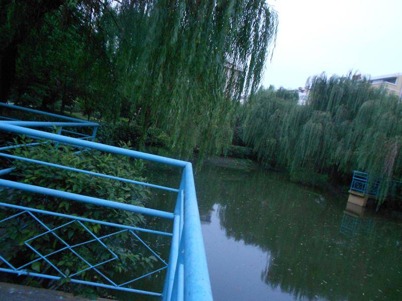 上海闵行区虹梅敬老院
