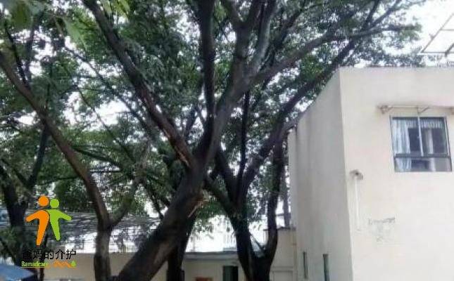 万康康复医学老年科