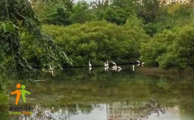 三亚白鹭阳光度假老年公寓