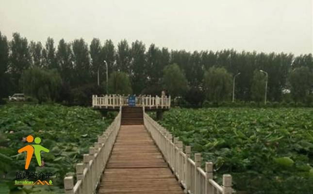 临漳安心养老护理院