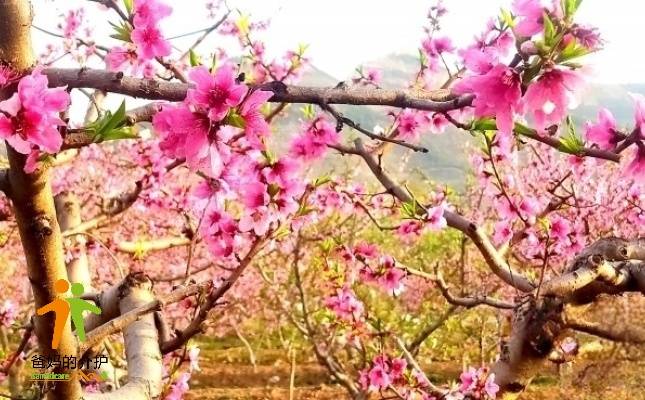 九如城锦绣川康养中心