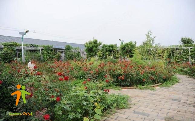 北京市密云区不老屯镇社会福利中心