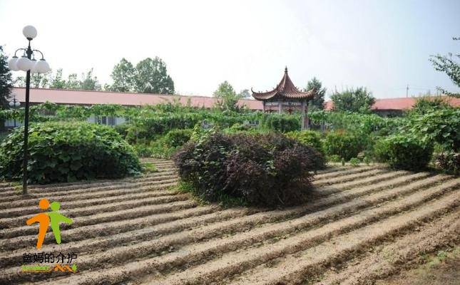 北京市密云区十里堡镇社会福利中心