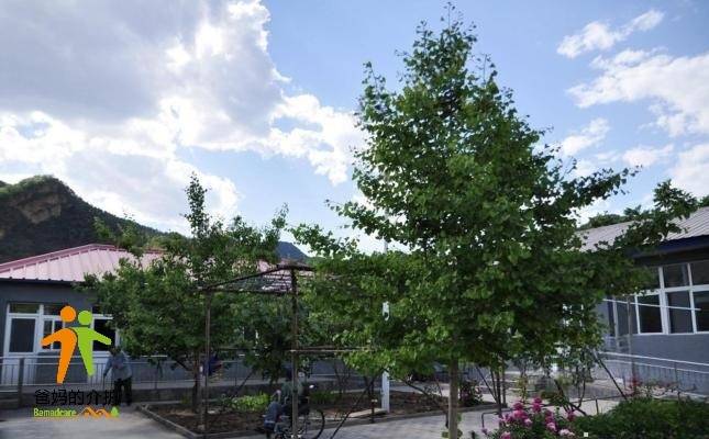 北京市平谷区黄松峪乡敬老院