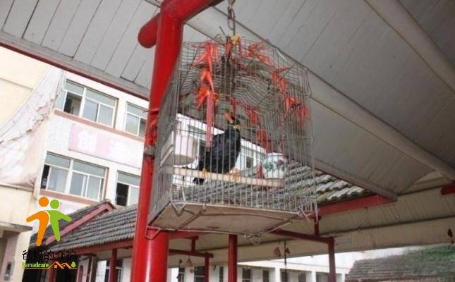 南京市下关区江南明珠养老院