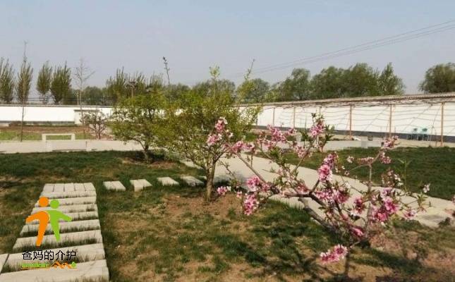 天津市宝坻区植乡居养老服务中心