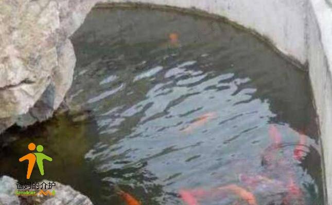 天津市西青区为善园养老院
