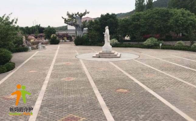山东济南市扁鹊康养小镇