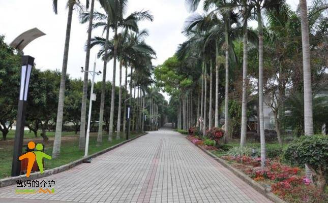 广东省深圳市南山区麒麟养生苑