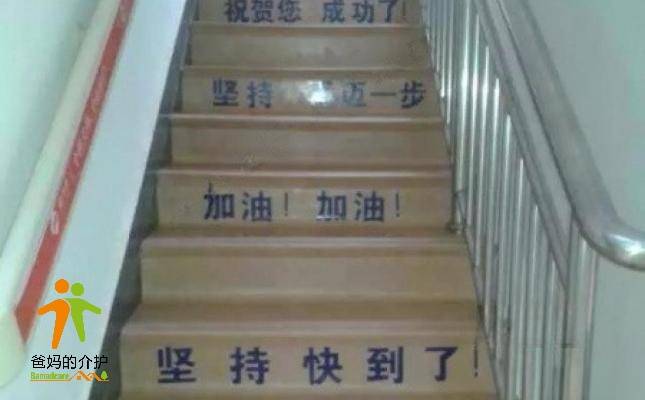 康乃馨老年养护中心