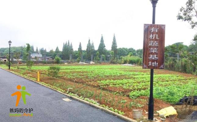康乐年华常德汉寿县嘉佑养老院