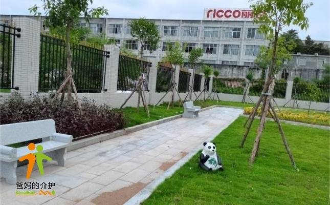 廉江乐和和养老院