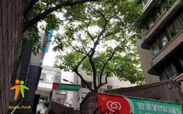惠源家·曾家岩敬老院
