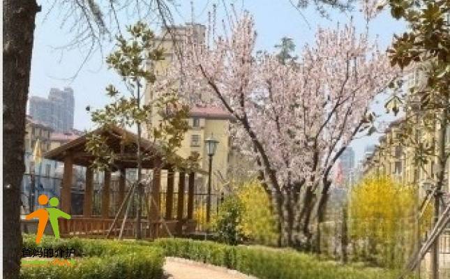 李沧区瑞康老年护养院