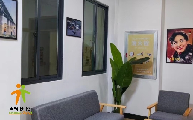 武汉市洪山区和平街综合体养老服务中心