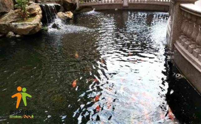 江门市新会区颐逸养老中心