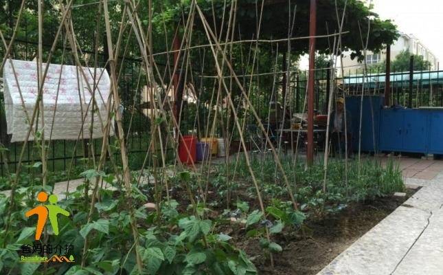 沈阳爱心护理院