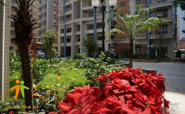 深圳市南联颐养中心