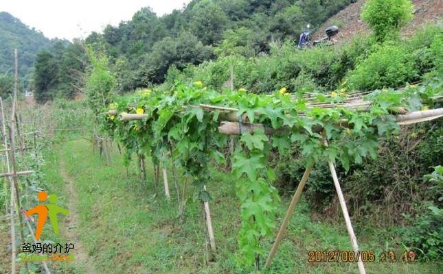 福康山庄老年公寓