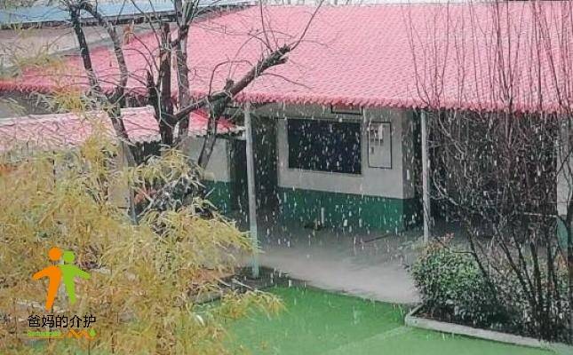 西安天伦至爱养老院