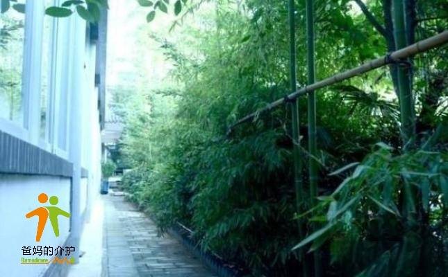 西安市三棵松老年公寓