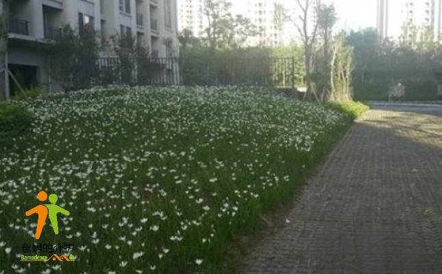 重庆万寿福居养老服务中心