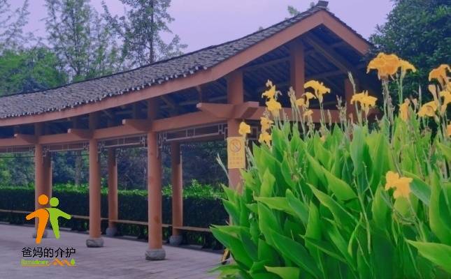 重庆两江新区中医院楠苑康复护理养老院