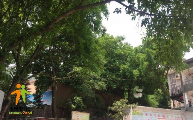 重庆市九龙坡区百年康养老院