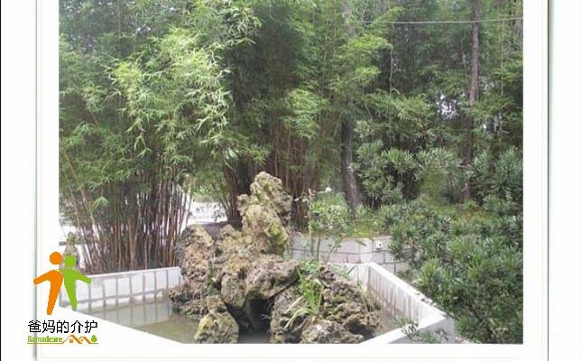 重庆市江北区凯尔铁山坪老年公寓