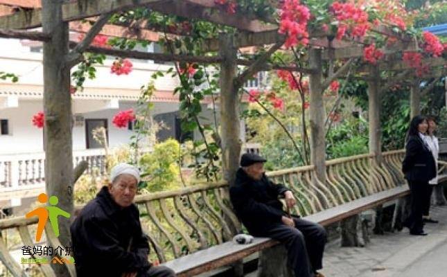 重庆市江津市白沙镇寿星公寓
