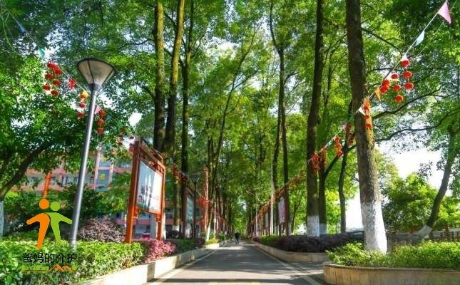 重庆市沙坪坝中颐歌乐山生态颐养院