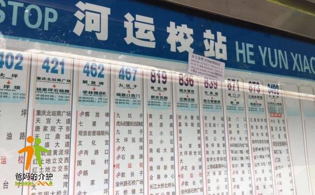 重庆市渝中区孝为先养老院
