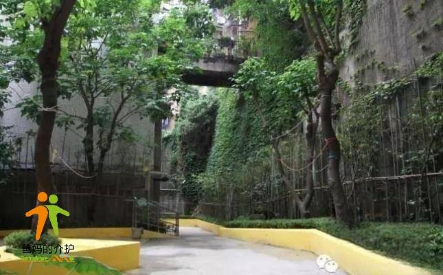 重庆市渝中区红叶敬老院