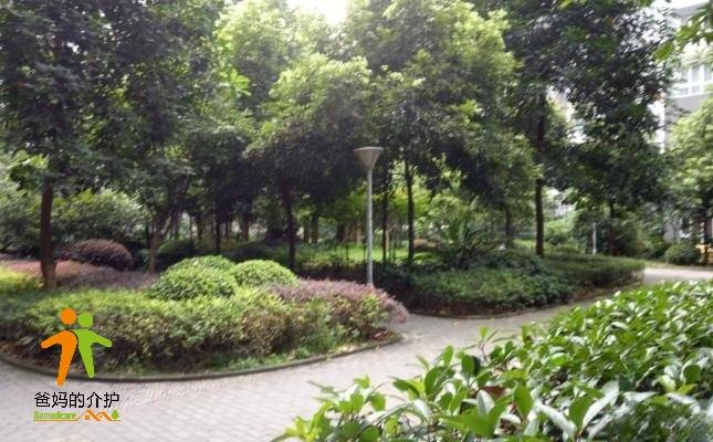重庆市渝中福利院（化龙桥分院）