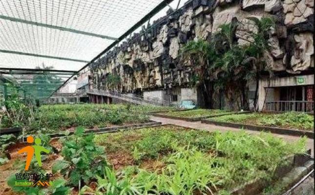 重庆市綦江区夕阳红老年公寓