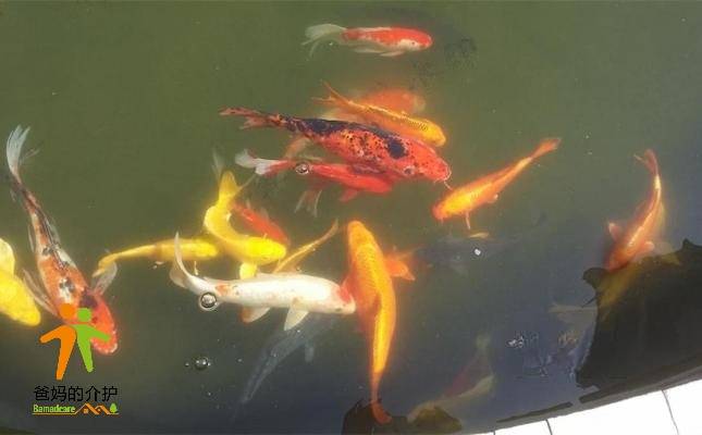 重庆市金渝来老年公寓