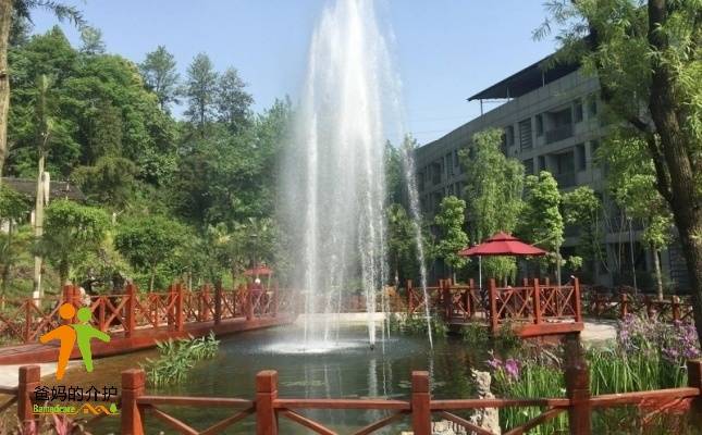 重庆市革命伤残军人康复医院（重庆市荣军院）