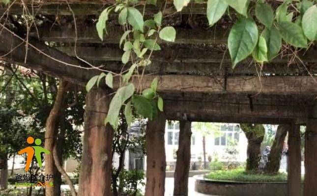重庆沙坪坝区兴艺老年公寓