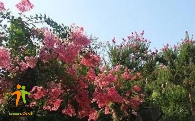重庆黔江颐养院