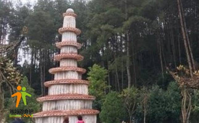 重庆黔江颐养院